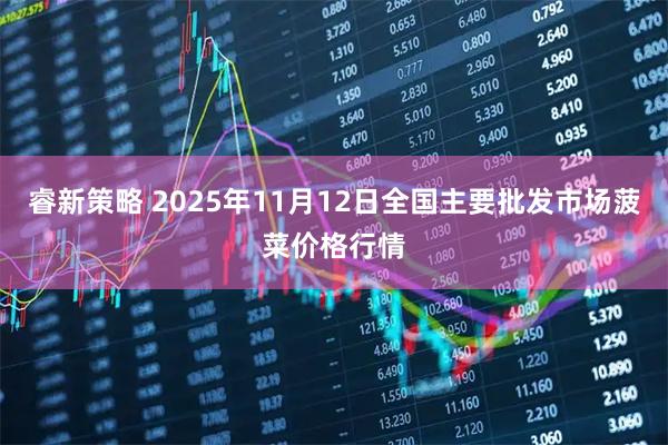 睿新策略 2025年11月12日全国主要批发市场菠菜价格行情