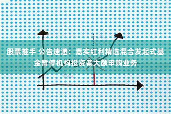 股票推手 公告速递：嘉实红利精选混合发起式基金暂停机构投资者大额申购业务